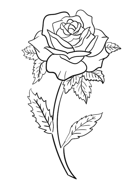 Premium Vector | Beautiful flower outline for coloring book