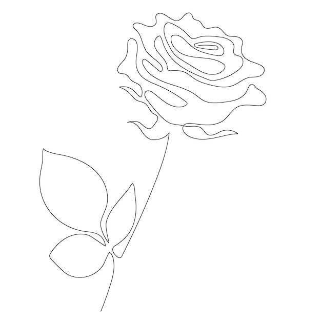 Beautiful flower rose line art vector illustration continuous line drawing abstract minimal flower