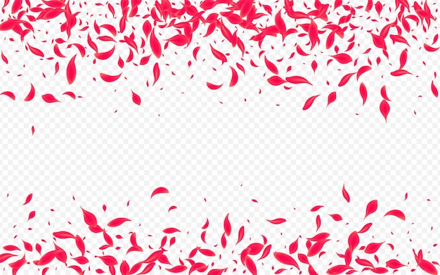 beautiful flower vector transparent background