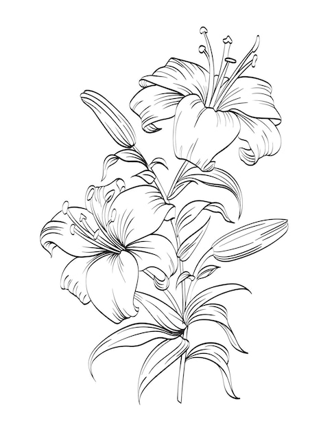 美しい花の絵