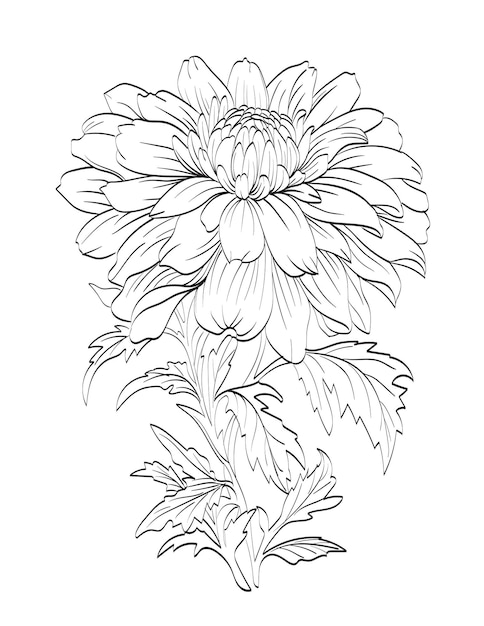 美しい花の絵