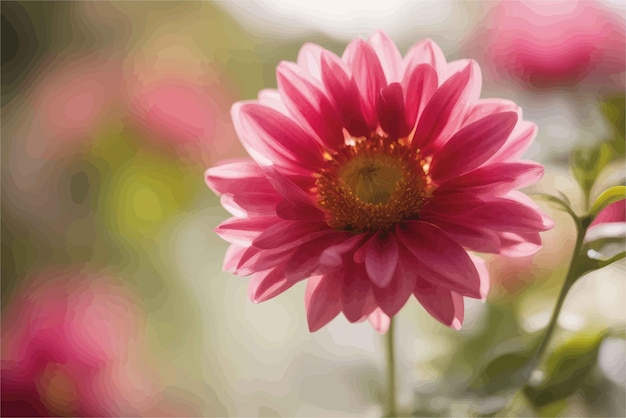 Vector beautiful flowers in the garden beautiful flowers in the garden beautiful cosmos flowers in garden