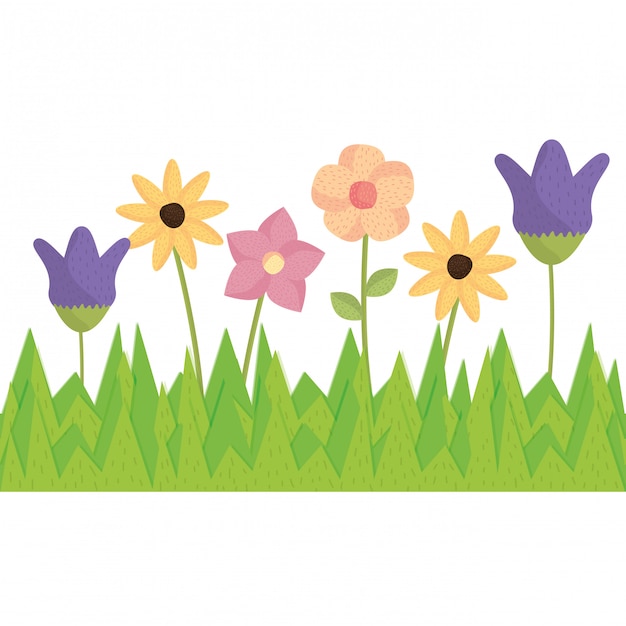 Vector beautiful flowers garden decoration