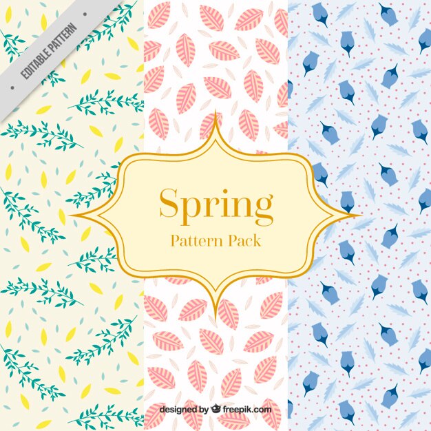 Vector beautiful flowers patterns of spring season