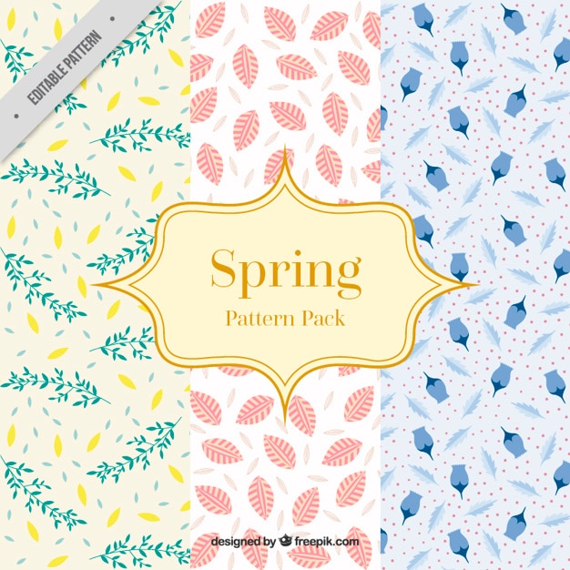 Vector beautiful flowers patterns of spring season