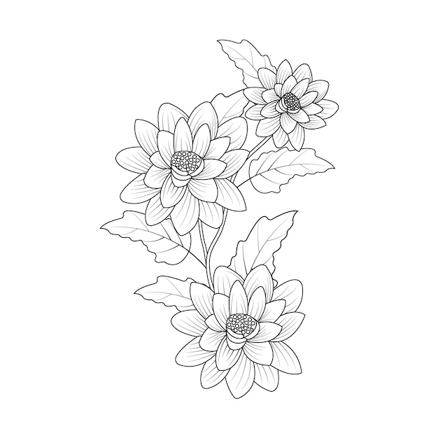 Vettore bellissimi fiori schizzo con lineart su sfondo bianco illustrazione grafica design