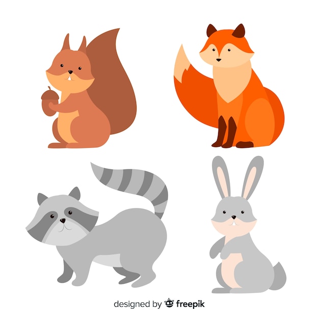 Vector beautiful forest animal collection