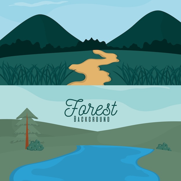 Vector beautiful forest landscape