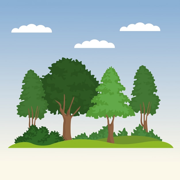 Vector beautiful forest scene