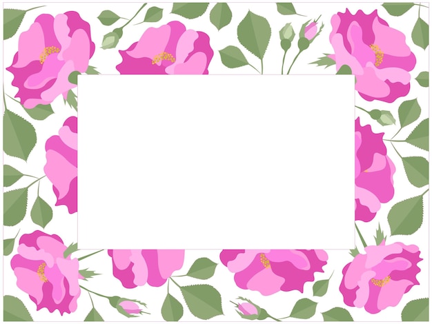 Beautiful Frame of Pink Damask Rose Flowers