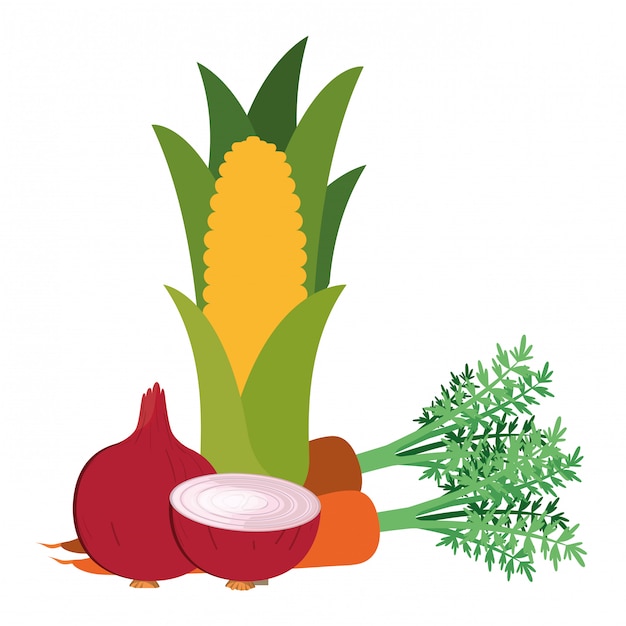 beautiful fresh vegetables isolated icon