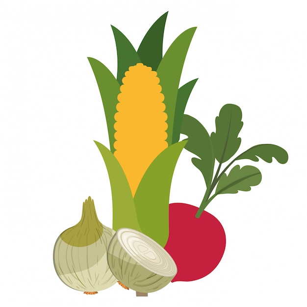 beautiful fresh vegetables isolated icon