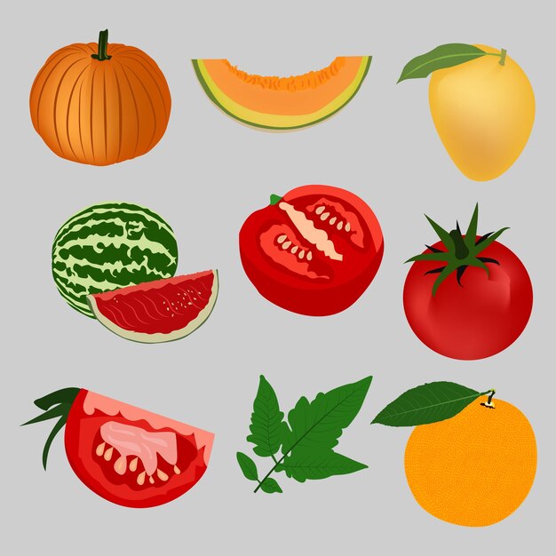 Beautiful fruit vector art