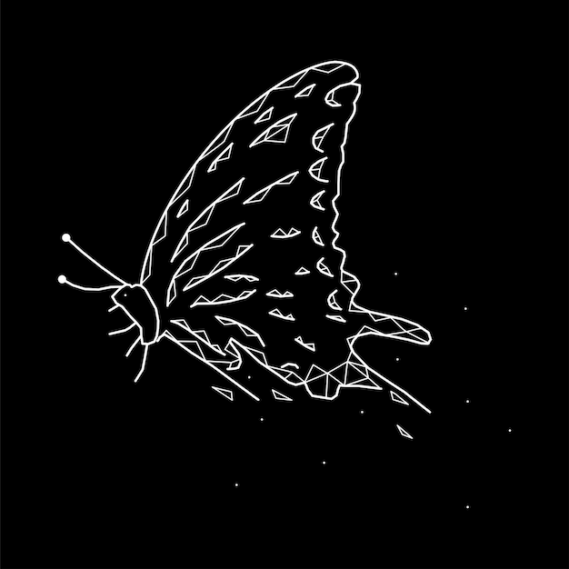 beautiful geometric butterfly on a black background