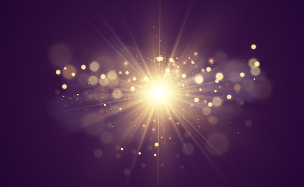벡터 금 먼지와 반짝이가 있는 반투명 배경에 있는 별의 아름다운 황금 벡터 그림