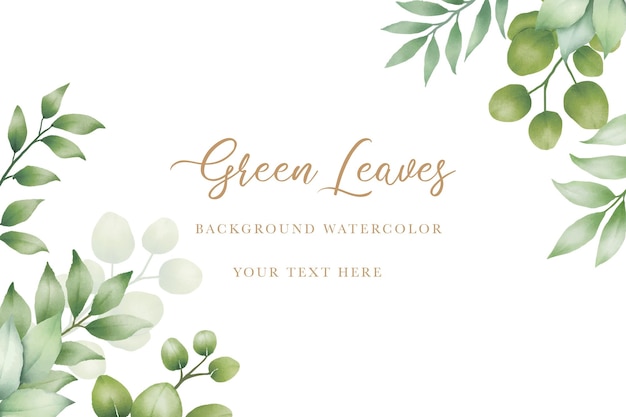 Vector beautiful green leaves background watercolor