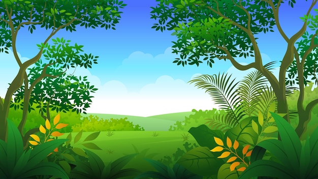 Beautiful green tropical forest or hill, peaceful forest scenery natural landscape