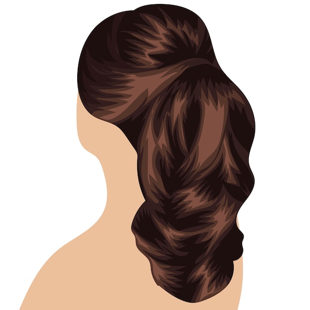 beautiful hairstyle of long brown female hair gathered in a ponytail vector illustration