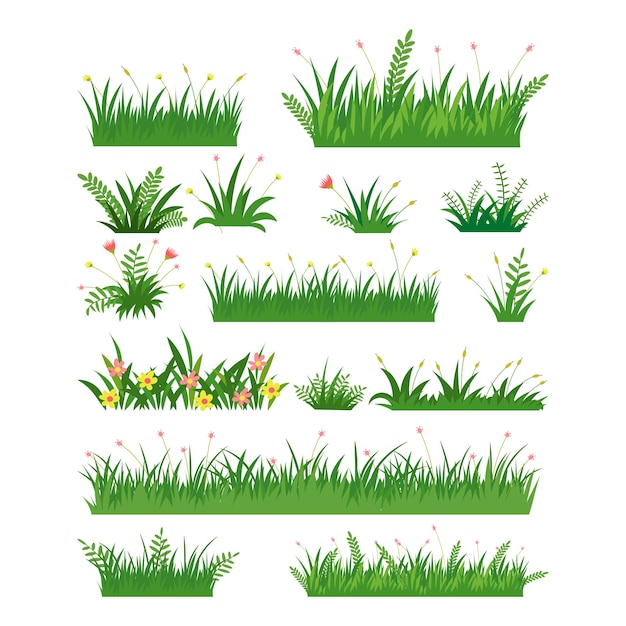 Beautiful hand draw grass vector collection