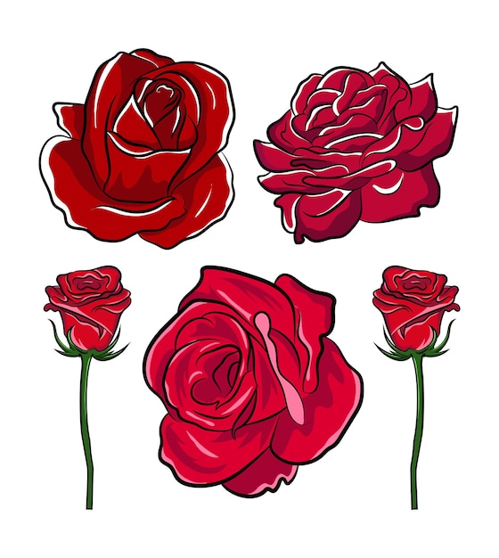 Beautiful hand drawing colorful single red rose