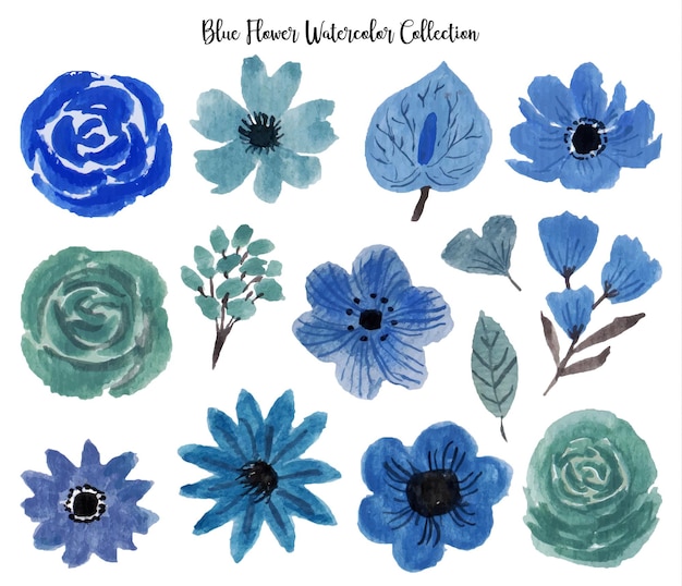 Vector a beautiful hand drawn blue flower watercolor