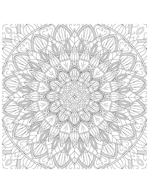 Beautiful Hand Drawn Detailed floral Coloring Pages and Coloring Book for Kids and Adult