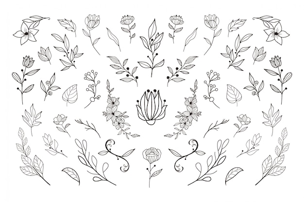 Vector beautiful hand drawn floral template