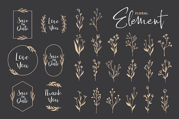 Beautiful hand drawn floral vector collection