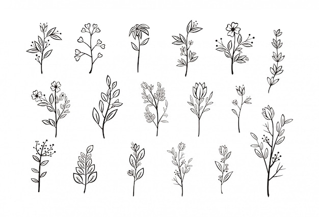 Vector beautiful hand drawn floral vector collection