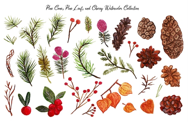 a beautiful hand drawn pine leaf pine cone and cherry watercolor