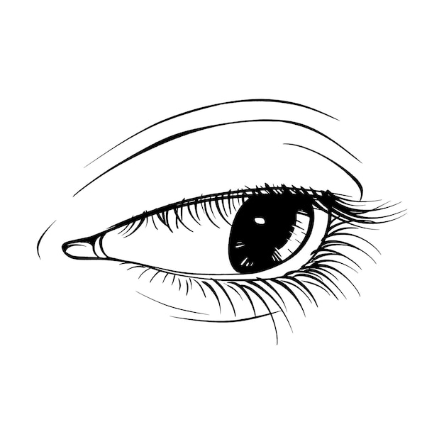 Красивый нарисованный вручную эскиз глазной векторной иллюстрации линии искусства