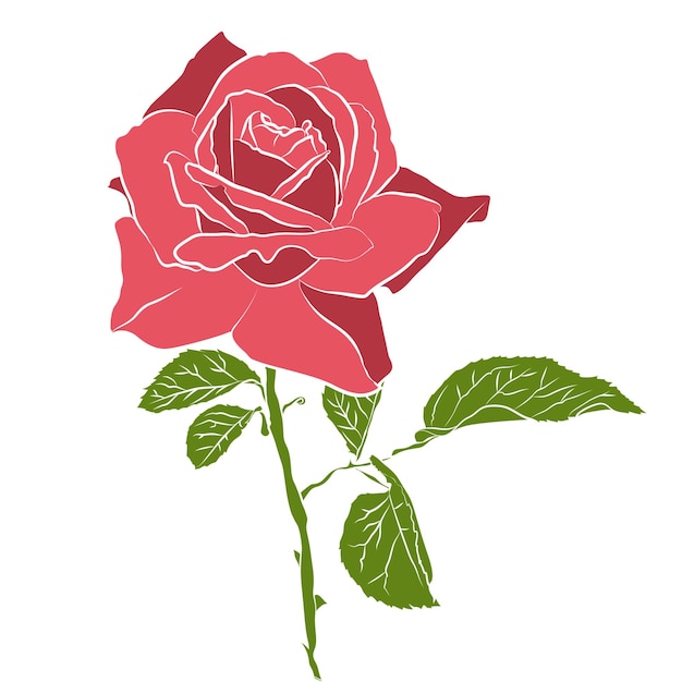 Bella rosa stencil disegnata a mano isolata su sfondo bianco silhouette botanica del fiore