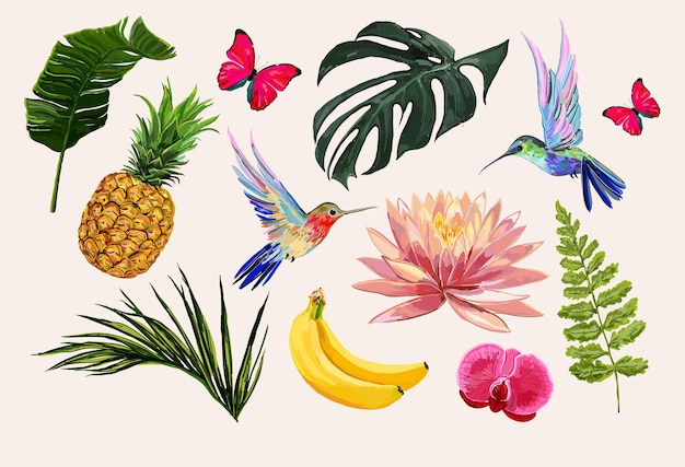 Вектор Красивая рисованная тропическая коллекция для летней пляжной вечеринки с тропическими листьями орхидеи лотоса