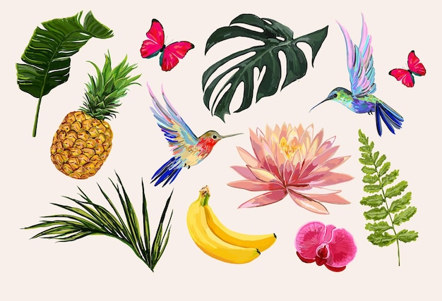 Bella collezione tropicale disegnata a mano impostata per le foglie tropicali di loto dell'orchidea della festa in spiaggia estiva