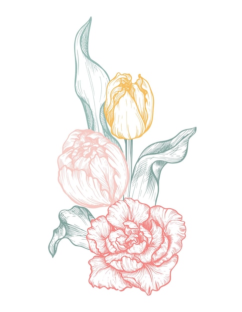 Vector beautiful hand drawn vector composition with tulip flowers