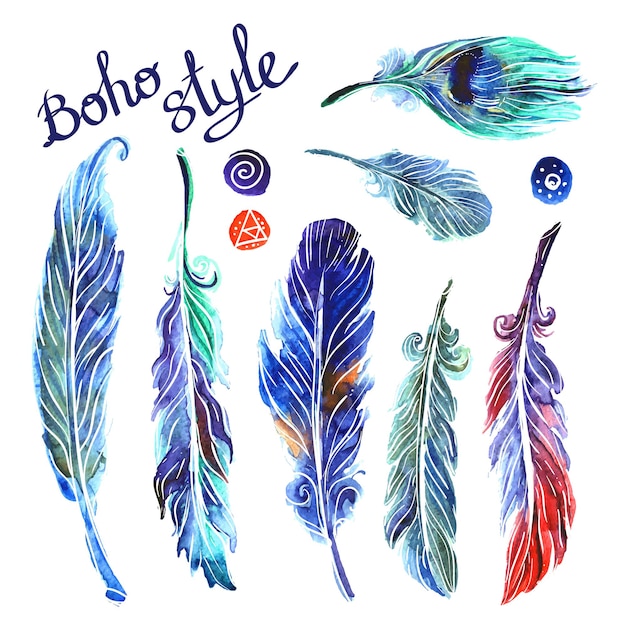 Beautiful hand drawn watercolor illustration feathers for your design