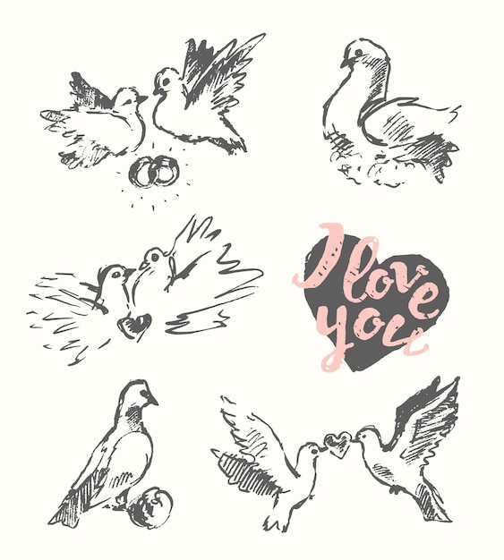 美しい手描きの結婚式の鳩、愛のシンボル、ベクトル イラスト、スケッチ