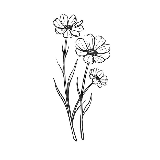 Beautiful handdrawn orange anemone flowers isolated on white vector floral illustration