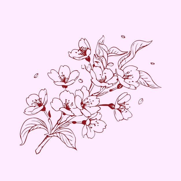 Vector beautiful handdrawn vector illustration of a sakura branch with flowers and leaves