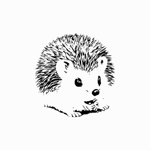 Vector beautiful hedgehog cartoon illustration black and white realism