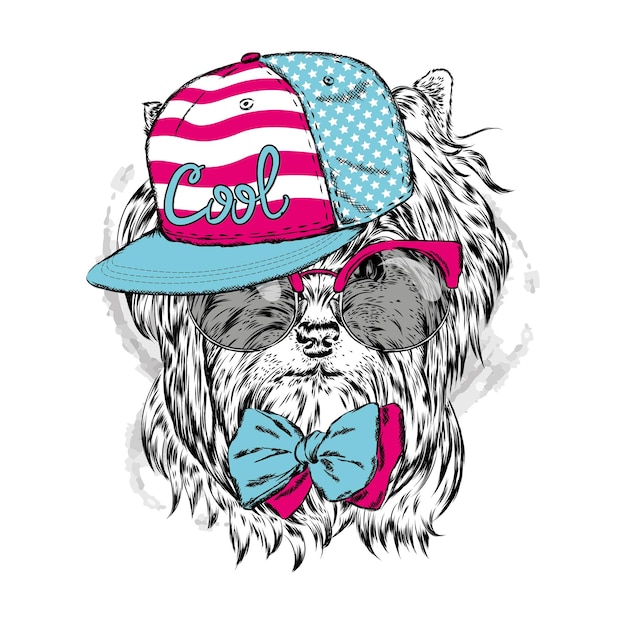 Vector beautiful hipster dog in cap ctylish puppy