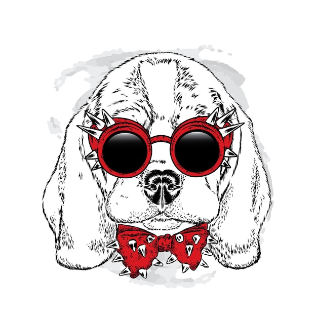 Vector beautiful hipster dog in stylish clothes