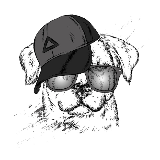 Vector beautiful hipster dog in stylish clothes