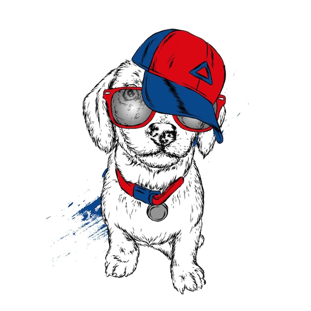 Vector beautiful hipster dog in stylish clothes