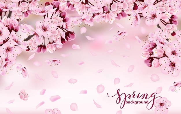 Vector beautiful horizontal banner with blossoming dark and light pink sakura flowers spring background