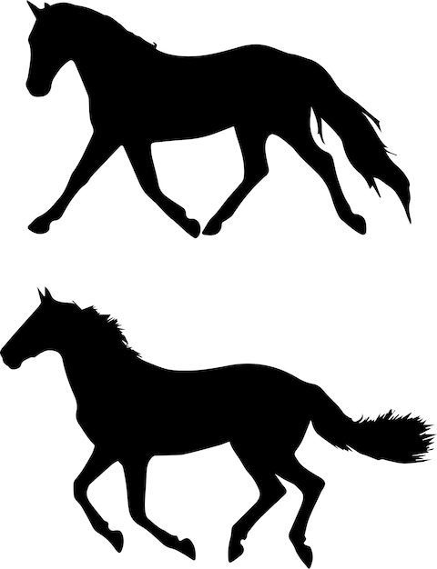 Beautiful horse pegasus unicorn run prancing silhouette