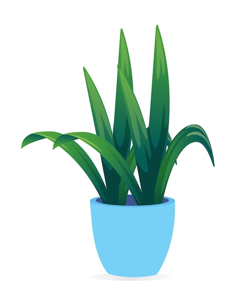 Beautiful houseplant for interior decoration in a home or office A flowerpot and long green leaves