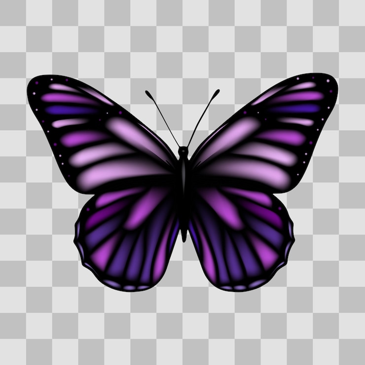 Vector beautiful insect butterfly with colorful shine lights wings with 3d effect and transparent backgroun