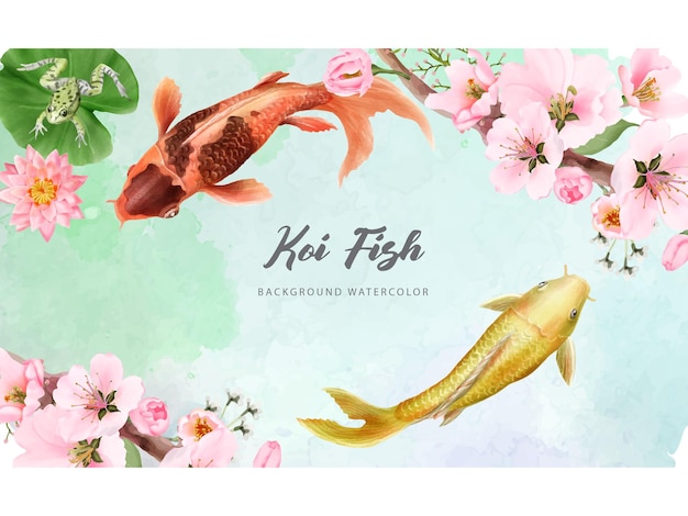 beautiful koi fish watercolor background