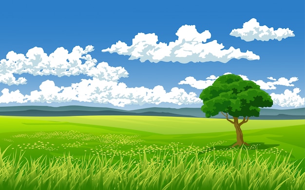 Vettore bellissimo paesaggio in campo verde con albero e nuvole